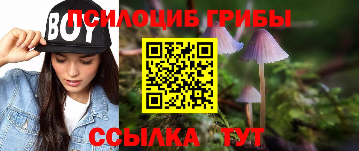 Углич  Галлюциногенные грибы мицелий  Вход с VPN  Галлюциногенные грибы Psilocybe 